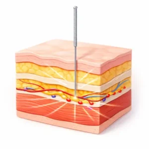 美容鍼は「1つだけ」を狙う施術ではありません ひたちなか 鍼灸 院長より