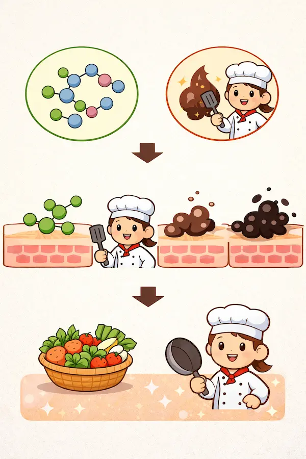 チロシンとチロシナーゼの違い｜メラニン生成とシミの原因を解説　ひたちなか市鍼灸整骨院　グレース